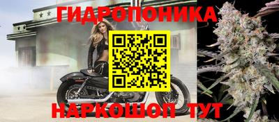 МДПВ Рузаевка